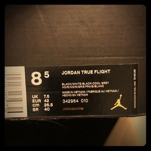 Jordan True Flight